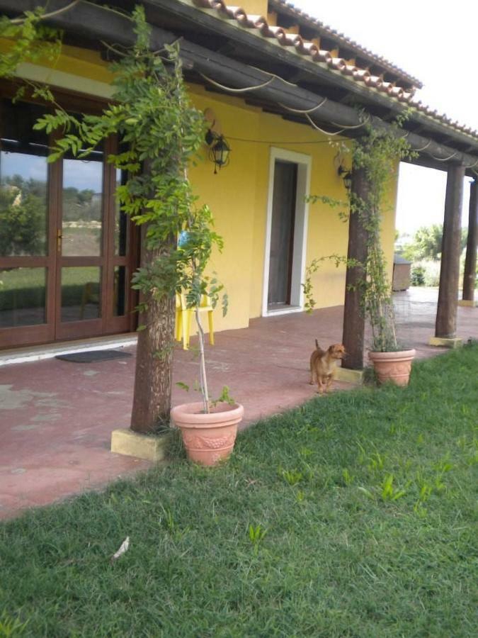 Affittacamere Luti Massama Exterior photo